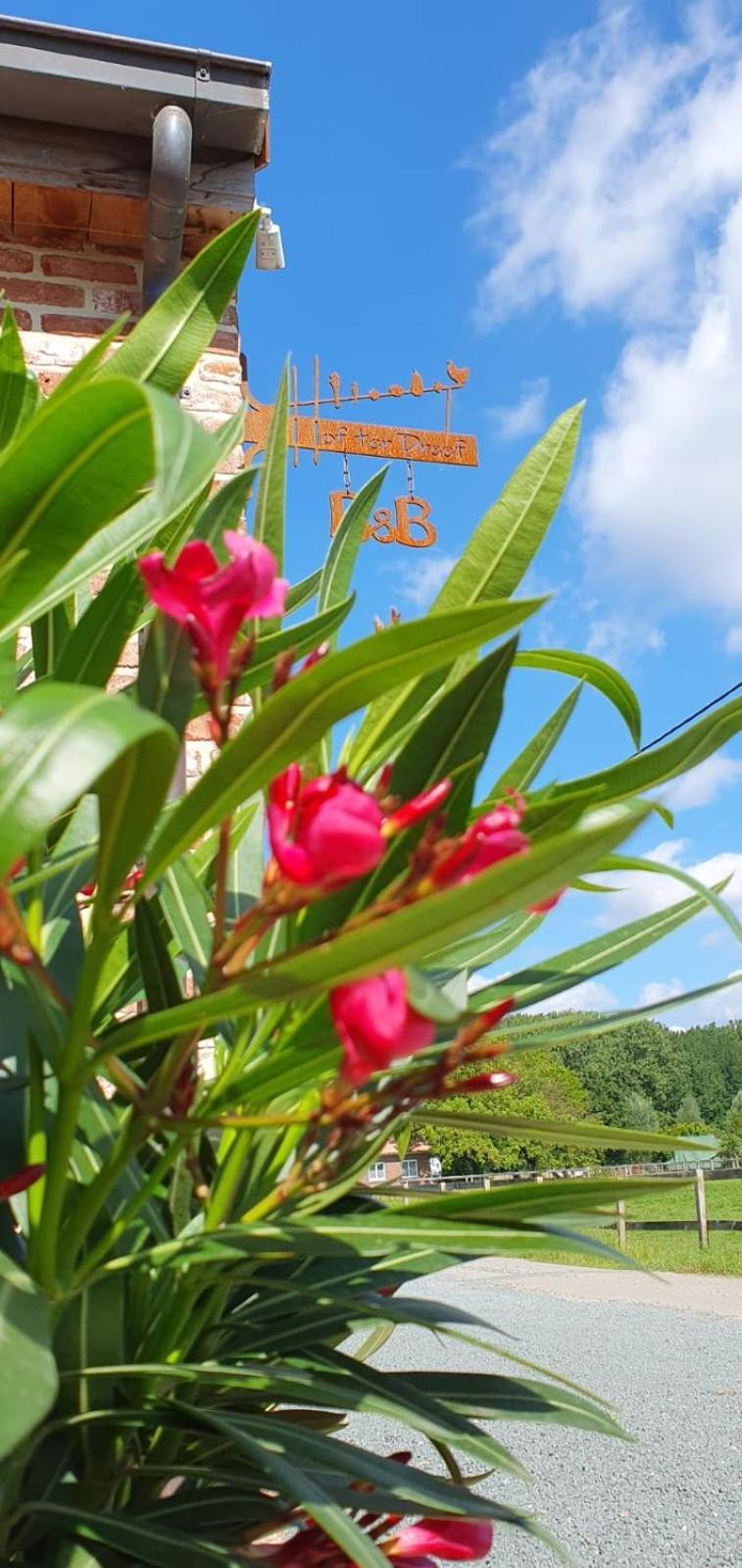 Meise Hof Ter Dreef Bed & Breakfast エクステリア 写真